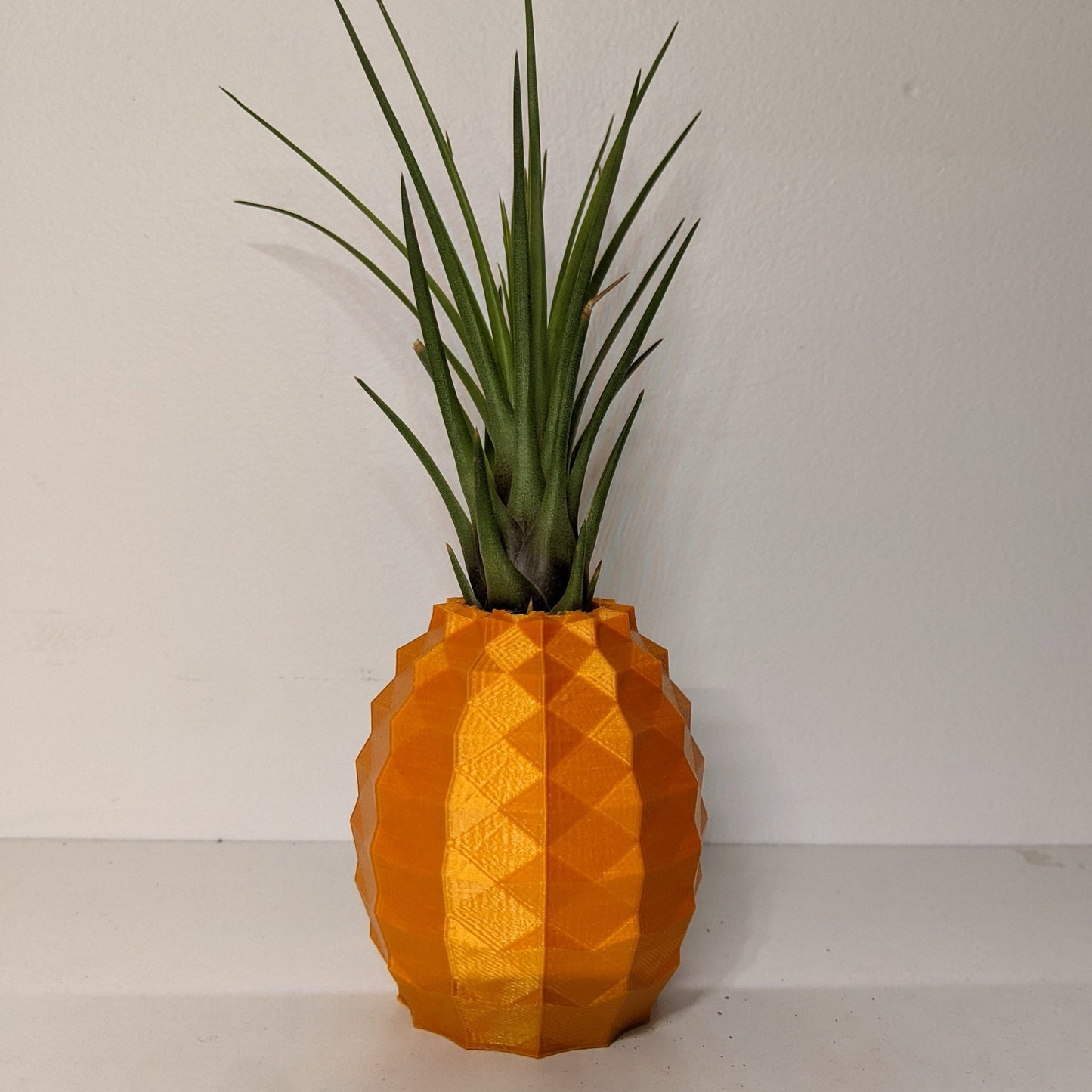 Pineapple Air plant Pot