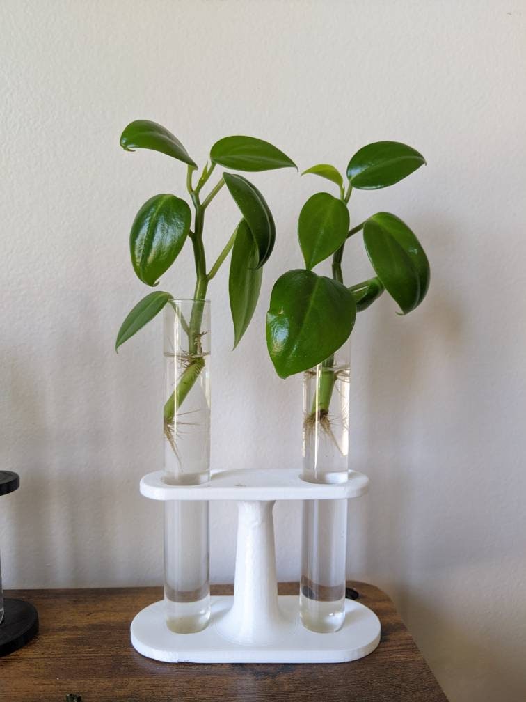 Test-tube Propogation Station
