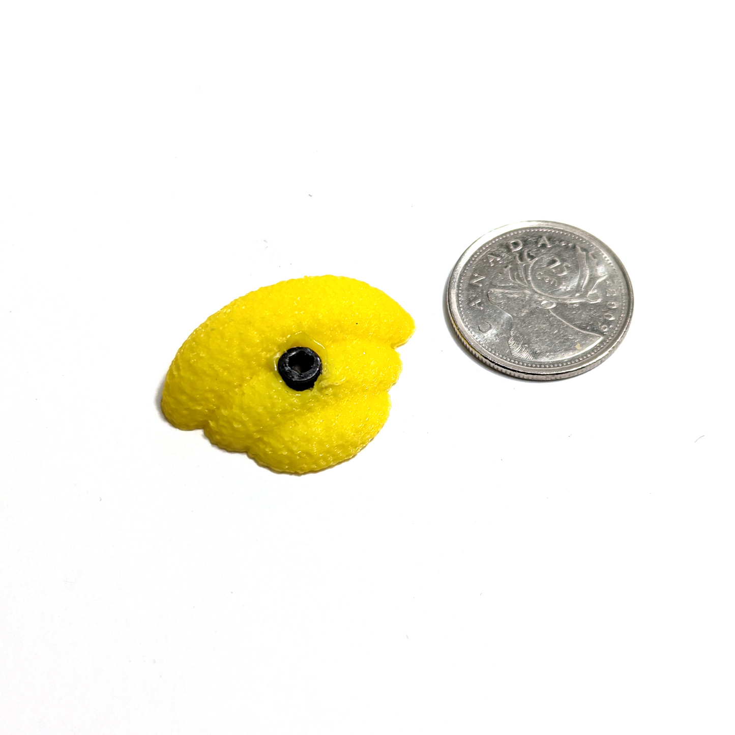 Climbing Hold Magnets
