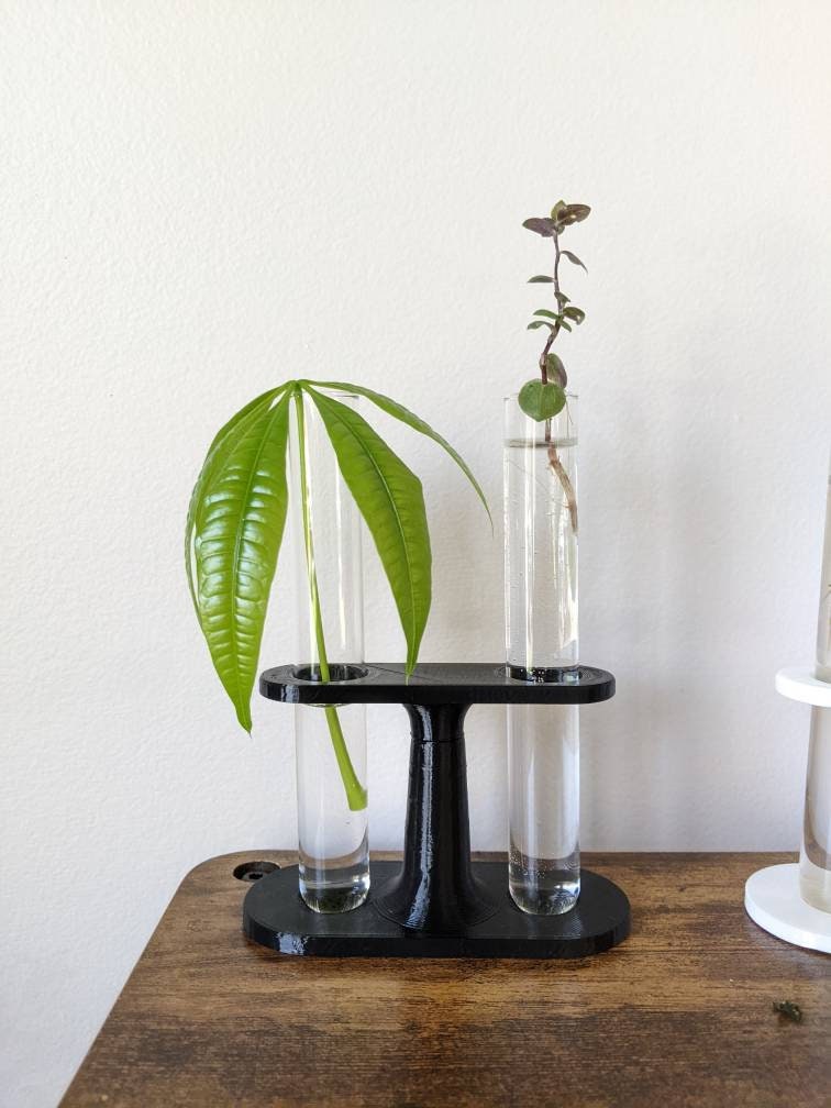 Test-tube Propogation Station