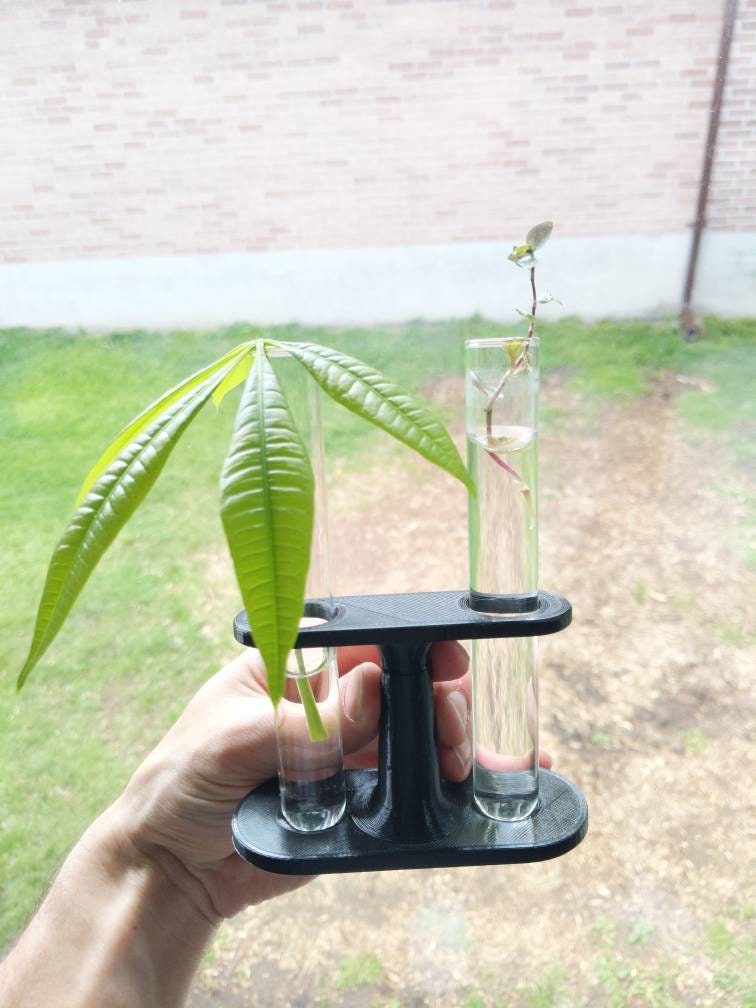 Test-tube Propogation Station