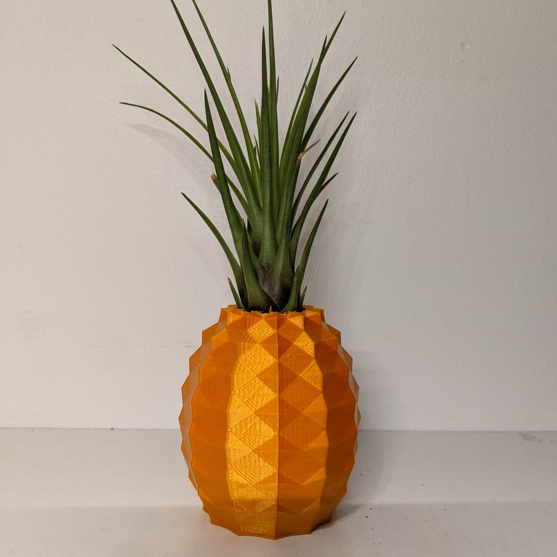 pineapple air plant Pineapple Air plant Pot – Thomasfdesign.com