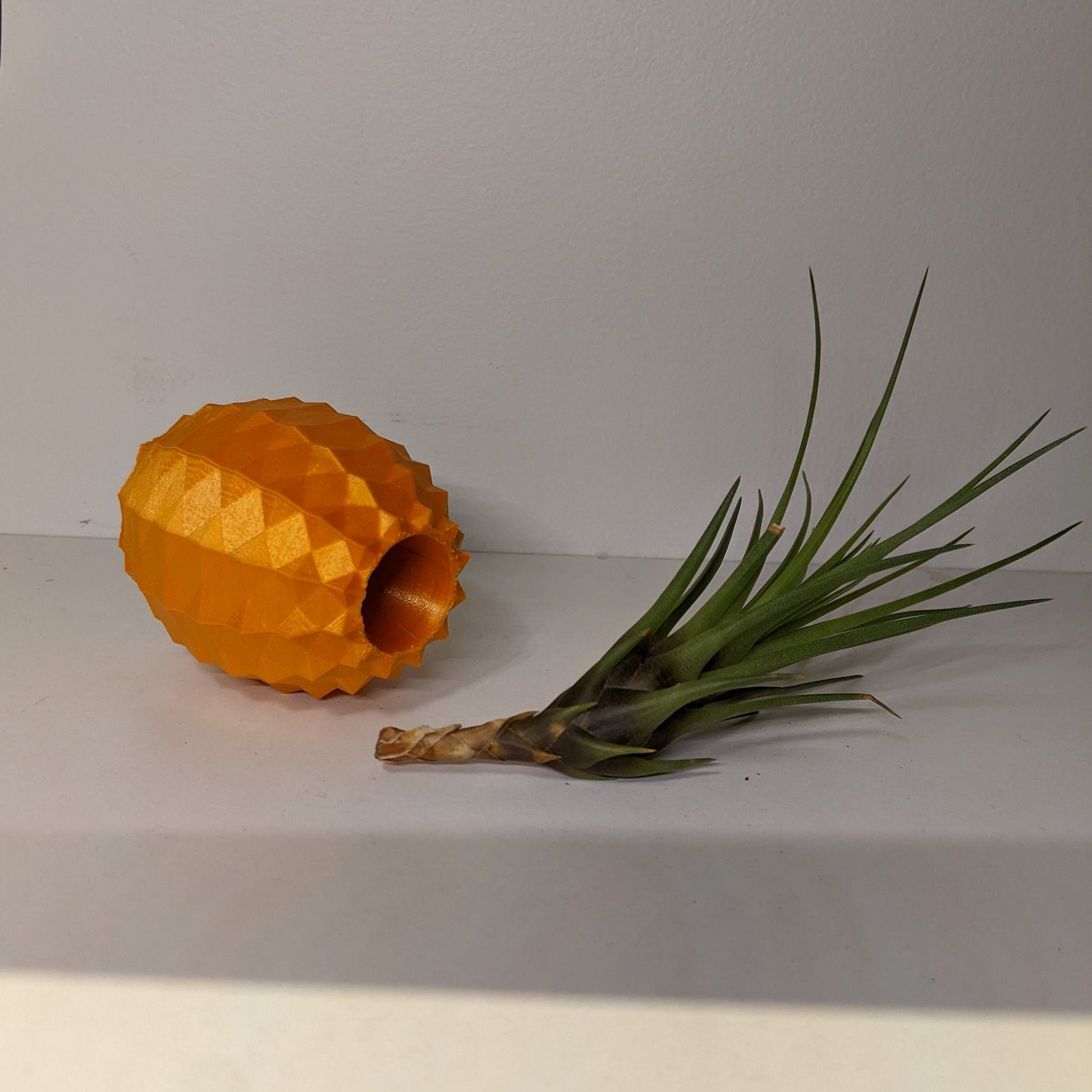 pineapple air plant holder Pineapple Air plant Pot – Thomasfdesign.com